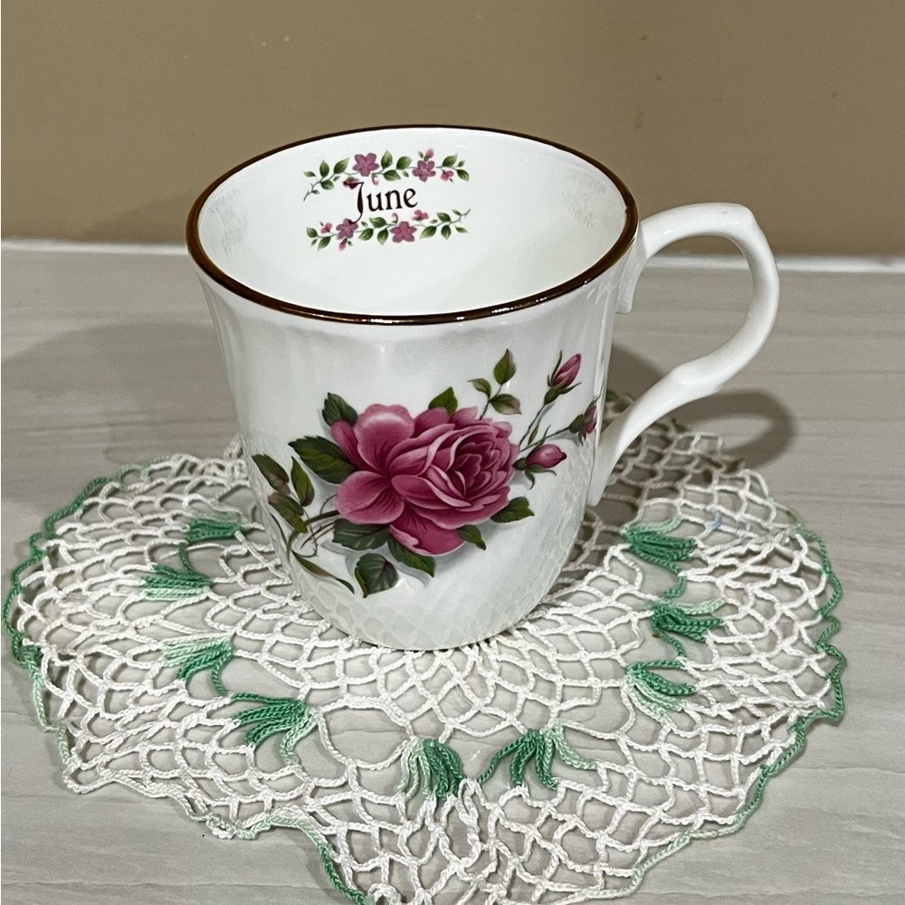 Beautiful Sadler Wellington June Birthday China Mug